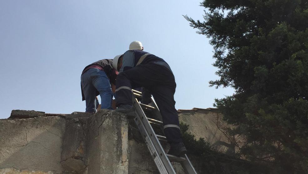 Elektrik trafosuna giren hırsız yanarak can verdi