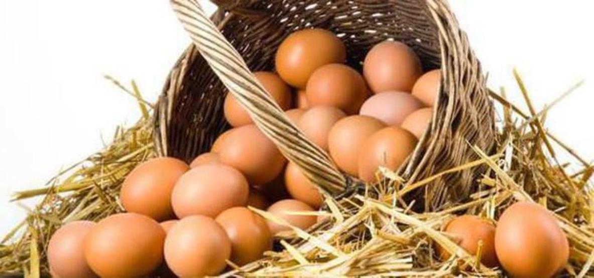 Pazartesi günü başlayacak: Bu yazıya dikkat yoksa almayın