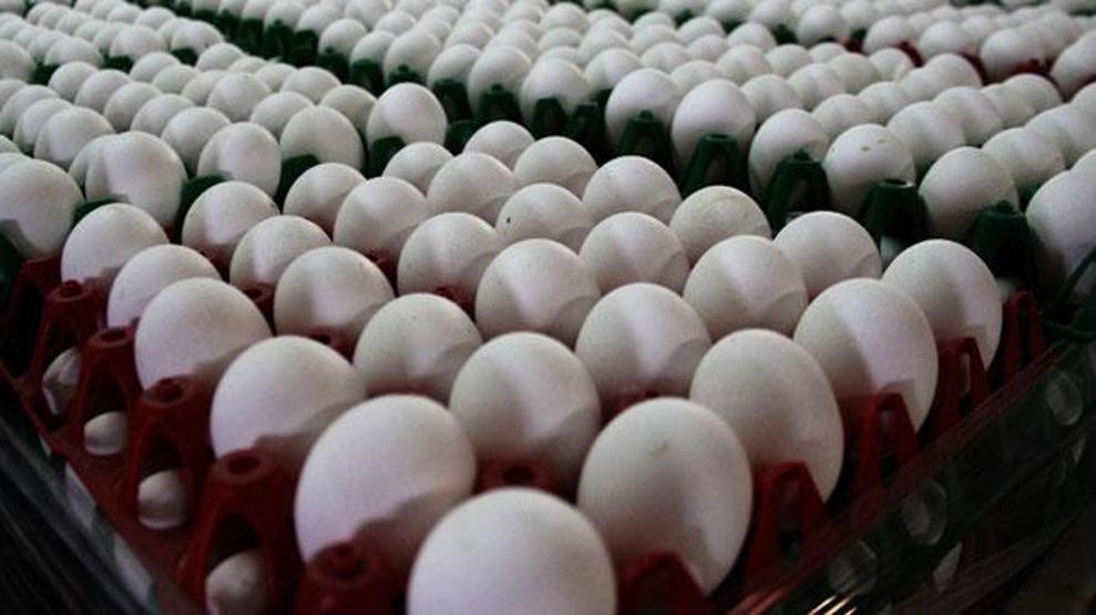 Pazartesi günü başlayacak: Bu yazıya dikkat yoksa almayın