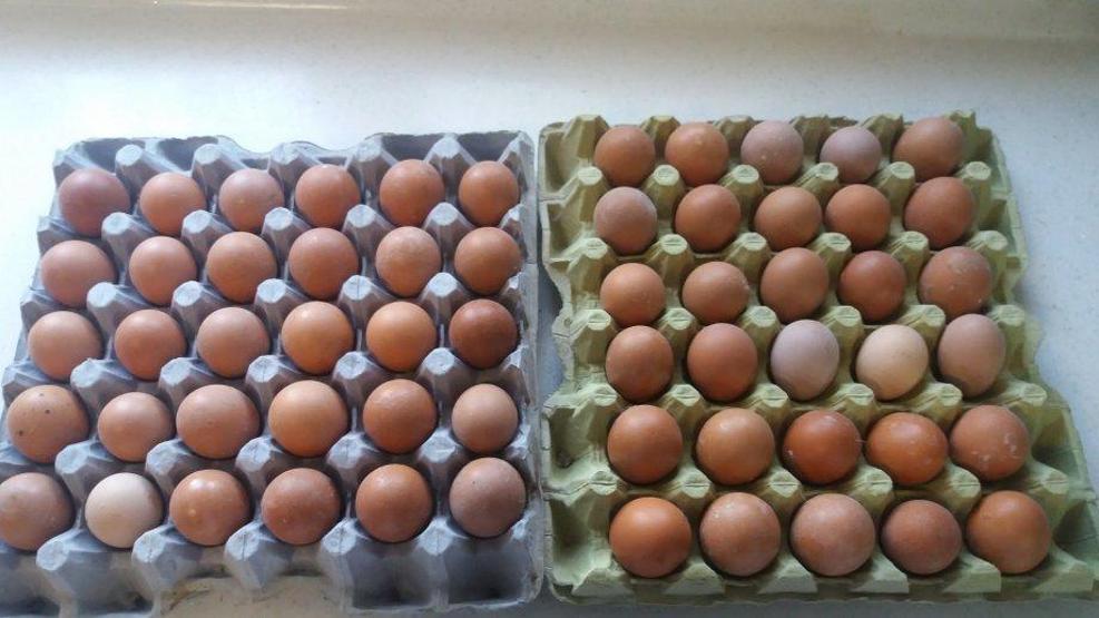 Pazartesi günü başlayacak: Bu yazıya dikkat yoksa almayın