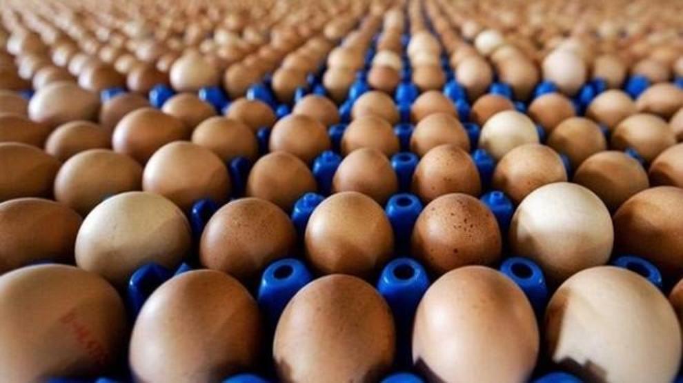 Pazartesi günü başlayacak: Bu yazıya dikkat yoksa almayın