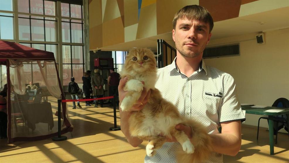 Kazakistanda kedi fuarı
