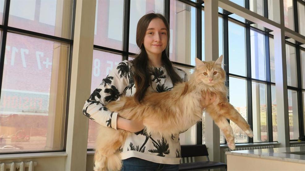 Kazakistanda kedi fuarı