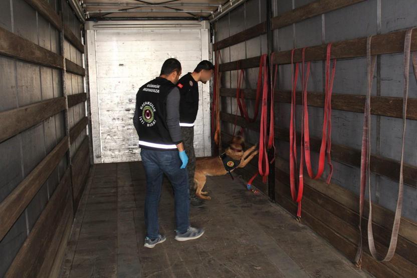 Boş TIRdan servet değerinde zehir çıktı