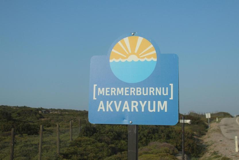 Bozcaadadaki Akvaryum Koyunun yoluna kilit vurdu