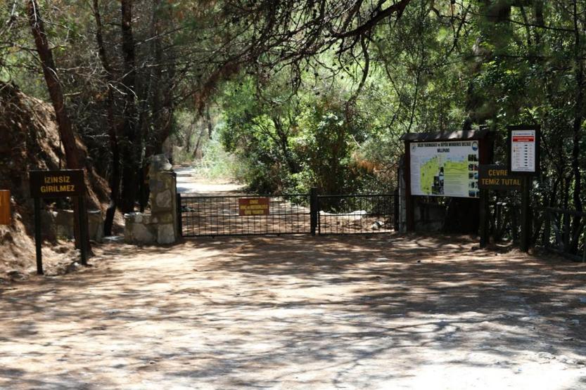 Egenin eşsiz doğal yaşam alanı: Büyük Menderes Deltası Milli Parkı