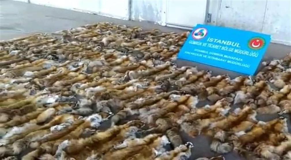 Haydarpaşa Ro-Ro Limanında ele geçirildi