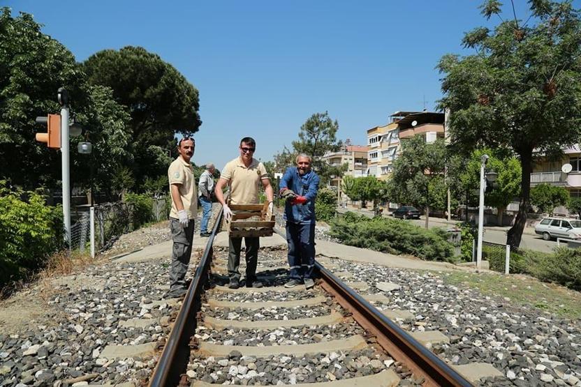 Tren yolunda mahsur kalan 73 kaplumbağa kurtarıldı