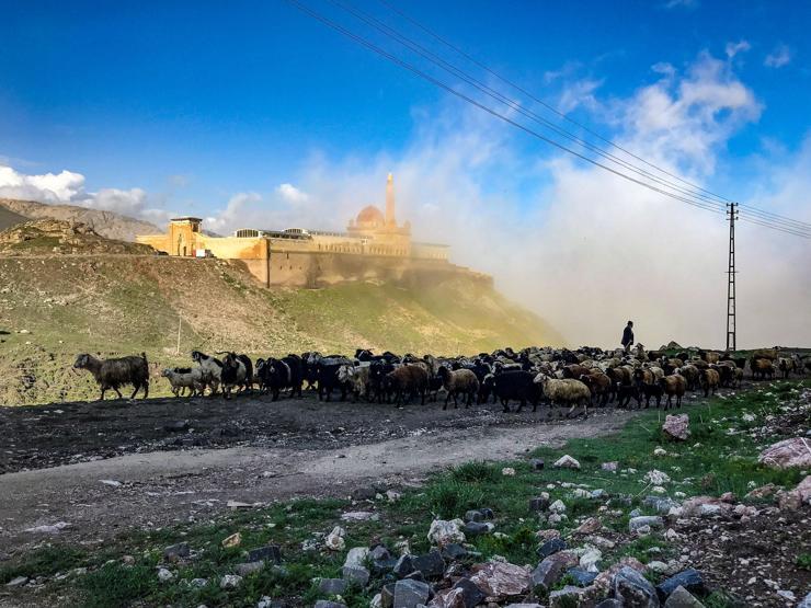 İshak Paşa Sarayında görsel şölen