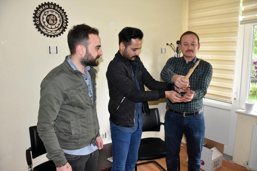 Sivasta öğrenciler buldu Yorulup düşmüş