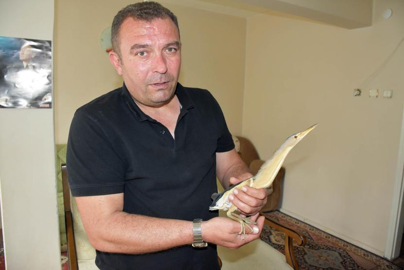 Sivasta öğrenciler buldu Yorulup düşmüş