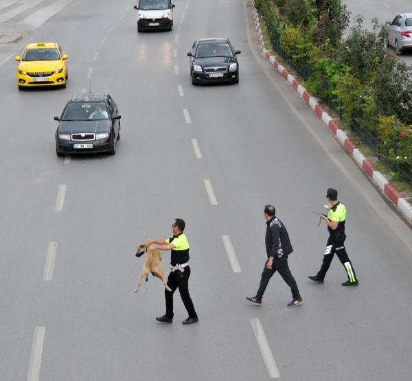 Köpeğe yardım etti, ayın polisi seçildi
