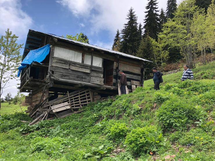 Karadeniz yaylasında ayı paniği