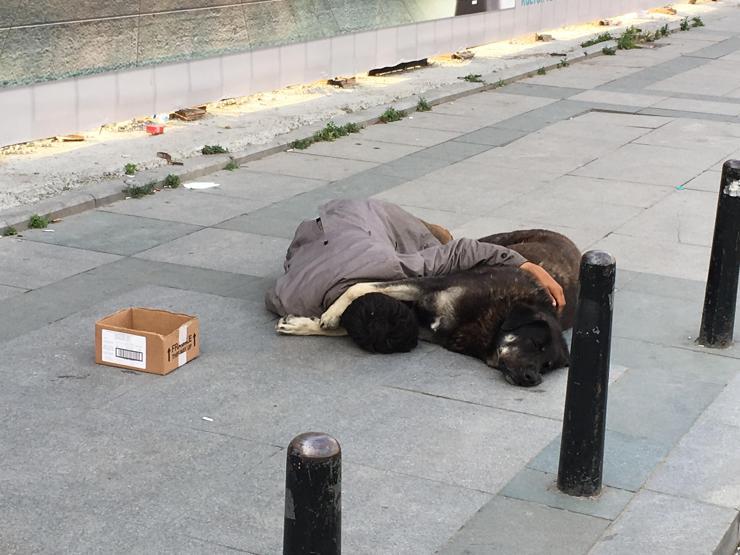 İstanbulun göbeğinde köpeğine sarılıp uyuyan çocuk yürek burktu