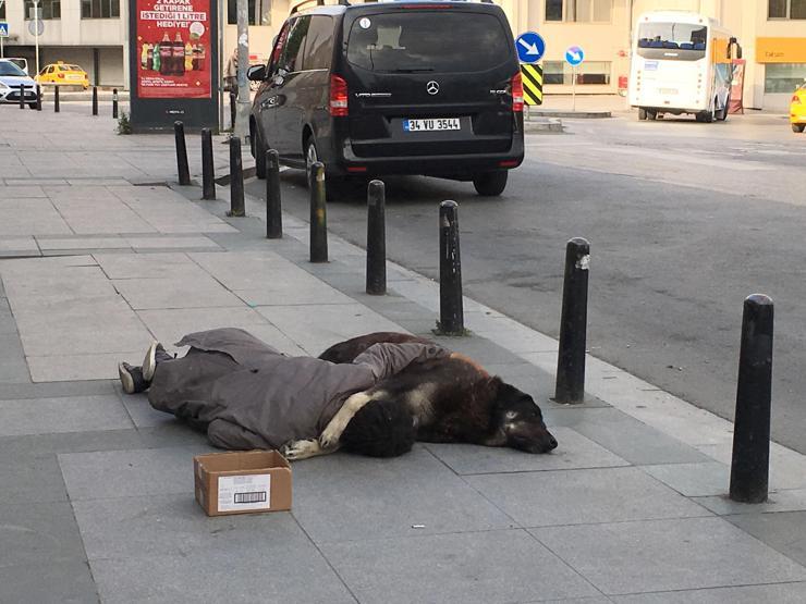 İstanbulun göbeğinde köpeğine sarılıp uyuyan çocuk yürek burktu