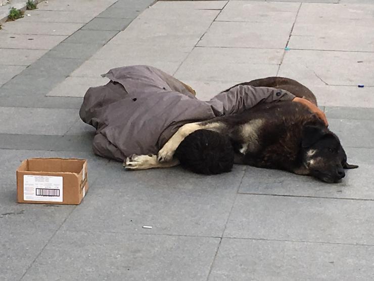 İstanbulun göbeğinde köpeğine sarılıp uyuyan çocuk yürek burktu