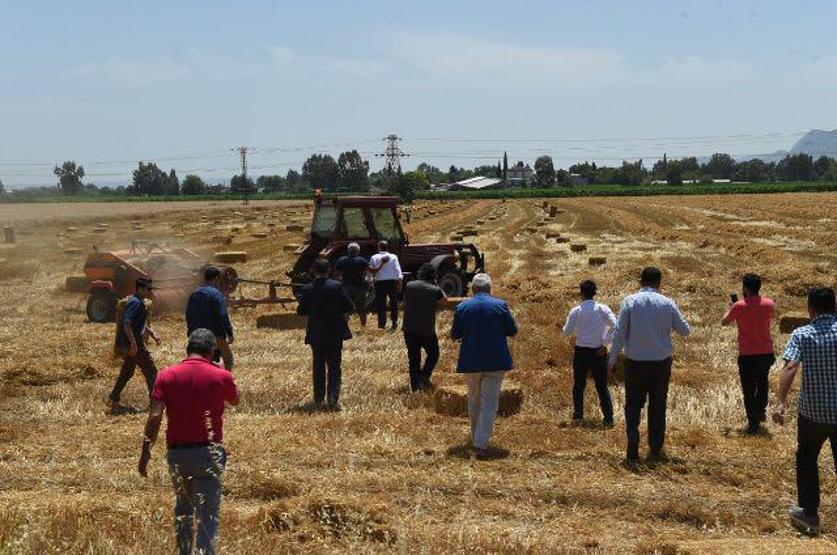 Muharrem İnce traktör sürüp saman balyaladı