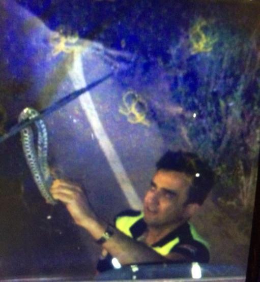 TIR seyir halindeyken sileceğine yılan dolandı