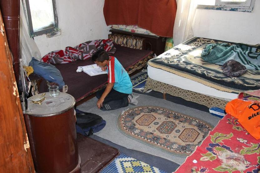 Ormanlık alanda yaşam mücadelesi