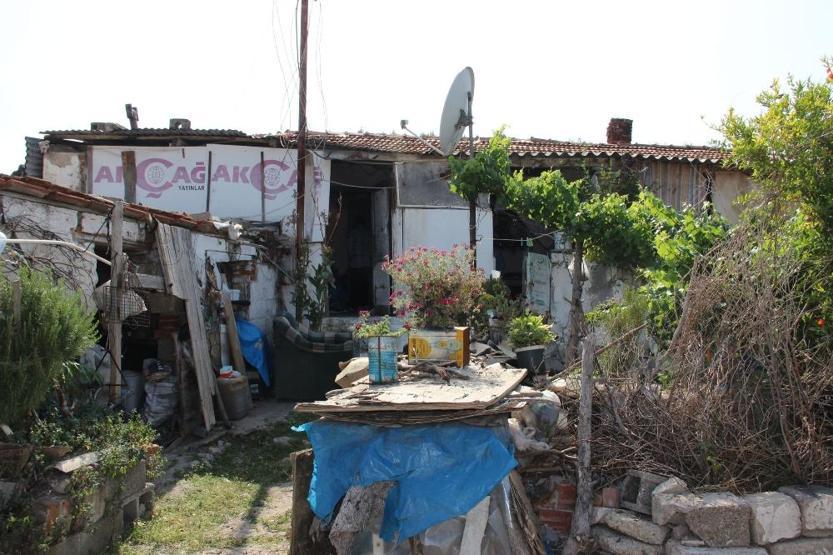 Ormanlık alanda yaşam mücadelesi