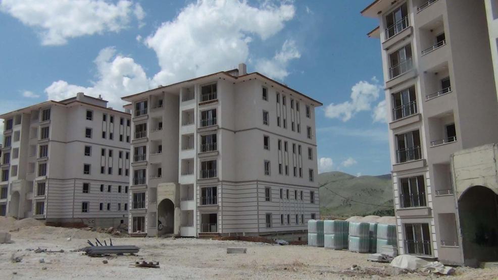 Kırlangıç yuvaları, inşaatı durdurdu
