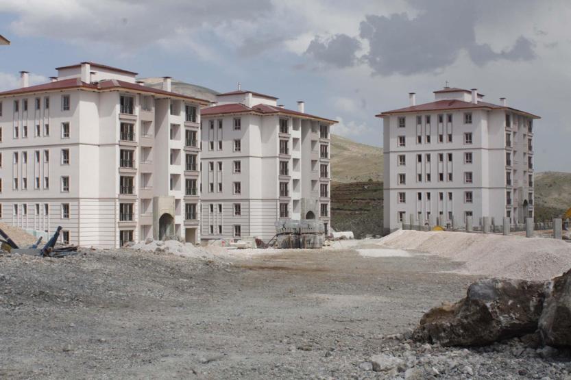 Kırlangıç yuvaları, inşaatı durdurdu