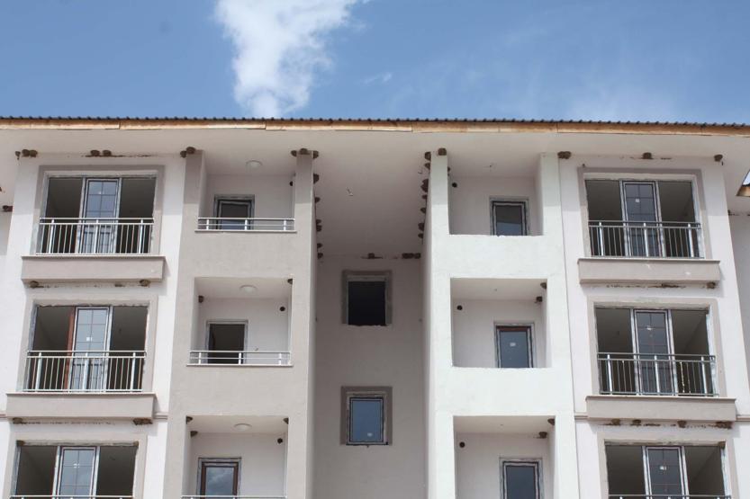 Kırlangıç yuvaları, inşaatı durdurdu