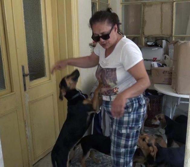 Evde 18 köpek besleyince başı derde girdi