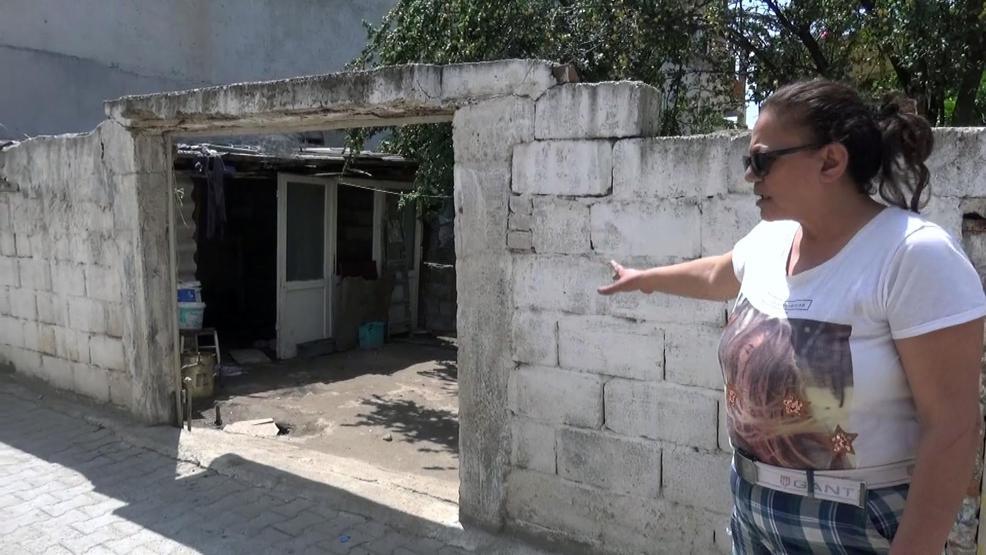 Evde 18 köpek besleyince başı derde girdi