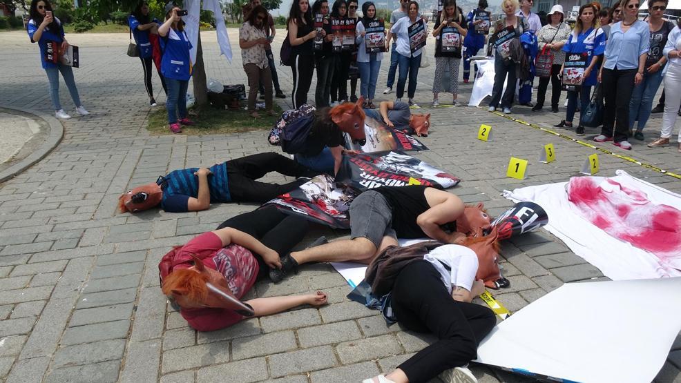 Büyükadada protesto: At öldü ortaklık bitti