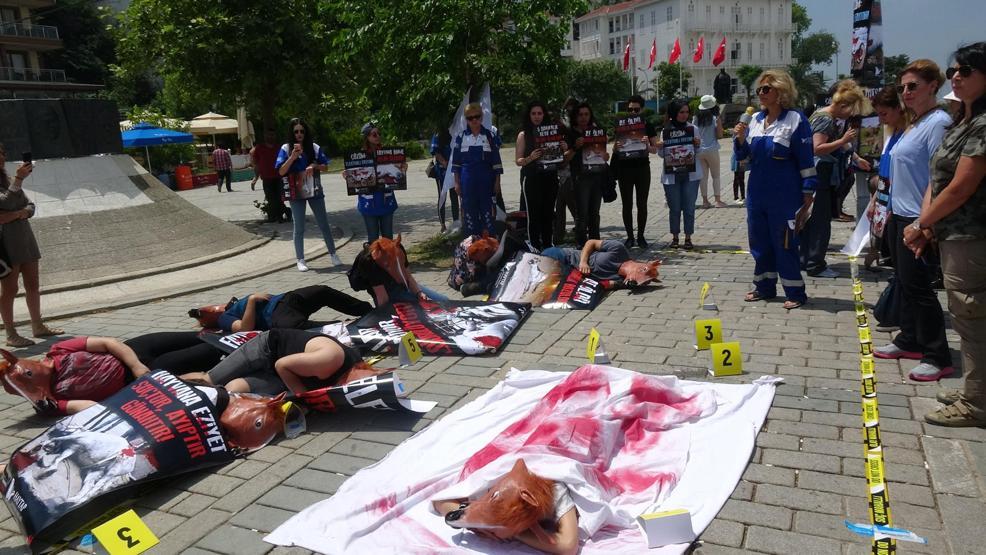 Büyükadada protesto: At öldü ortaklık bitti