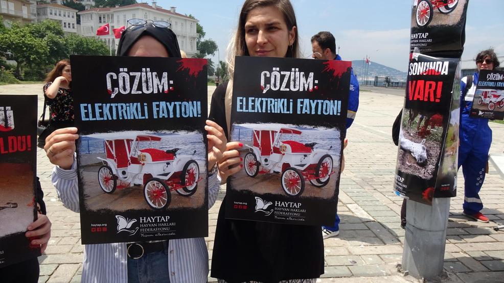 Büyükadada protesto: At öldü ortaklık bitti