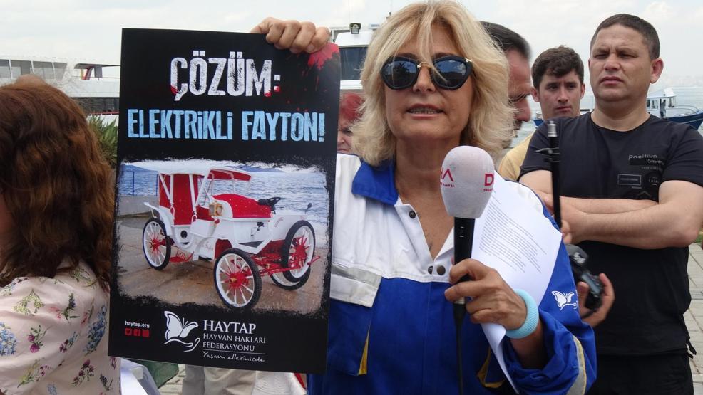 Büyükadada protesto: At öldü ortaklık bitti