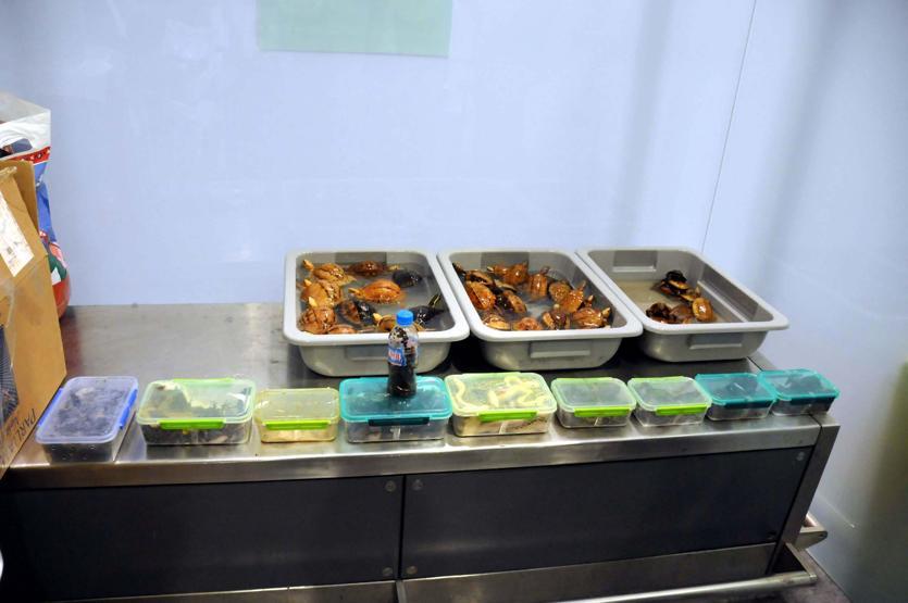 Teslim alınmayan valizden kaplumbağa, akrep, yılan çıktı