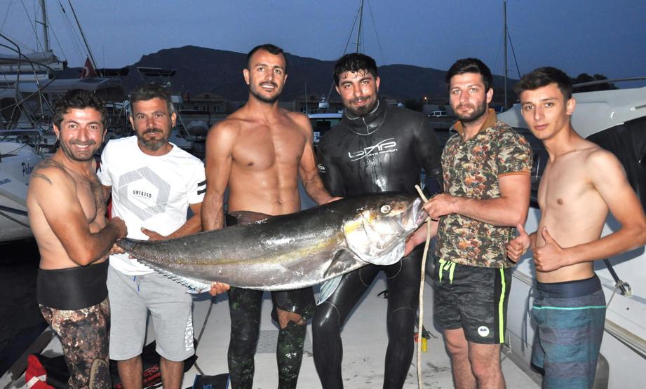 Zıpkınla yakaladı: 51 kilo, 160 santimetre