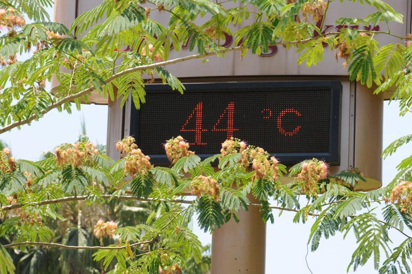 Adanada termometreler 44 dereceyi gösterdi