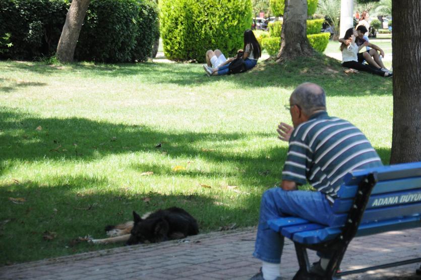 Adanada termometreler 44 dereceyi gösterdi