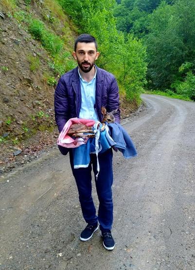 Yaralı karaca koruma altına alındı