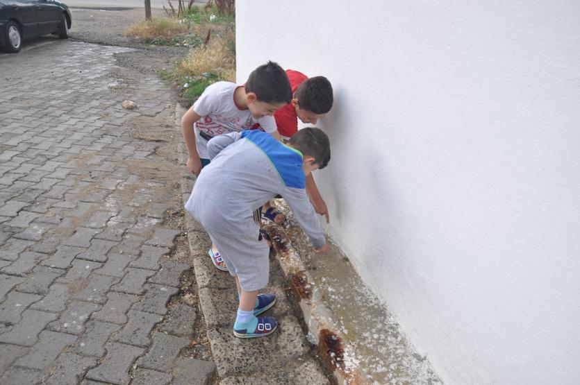 Yağmur yağdı, cadde ve sokakları küçük kurbağalar bastı