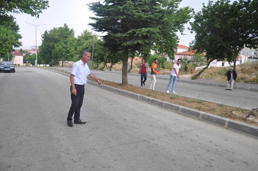 Yağmur yağdı, cadde ve sokakları küçük kurbağalar bastı