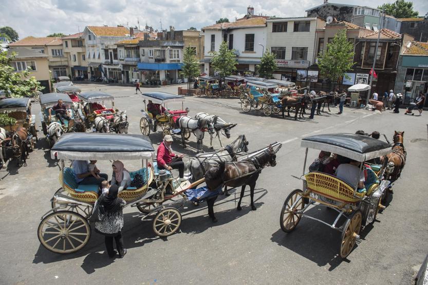 Faytonculardan hayvanseverlere tepki: Onlar hesap yoksunu