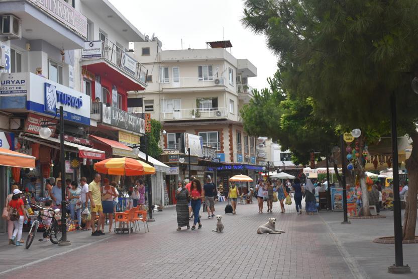 Tatile seçim molası