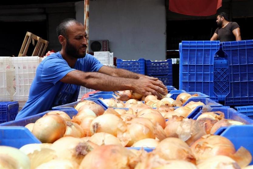 Hasat, patates fiyatını düşürecek
