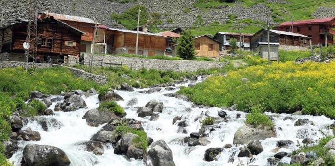 Doğu Karadenizin yeni gözdesi Elevit Yaylası