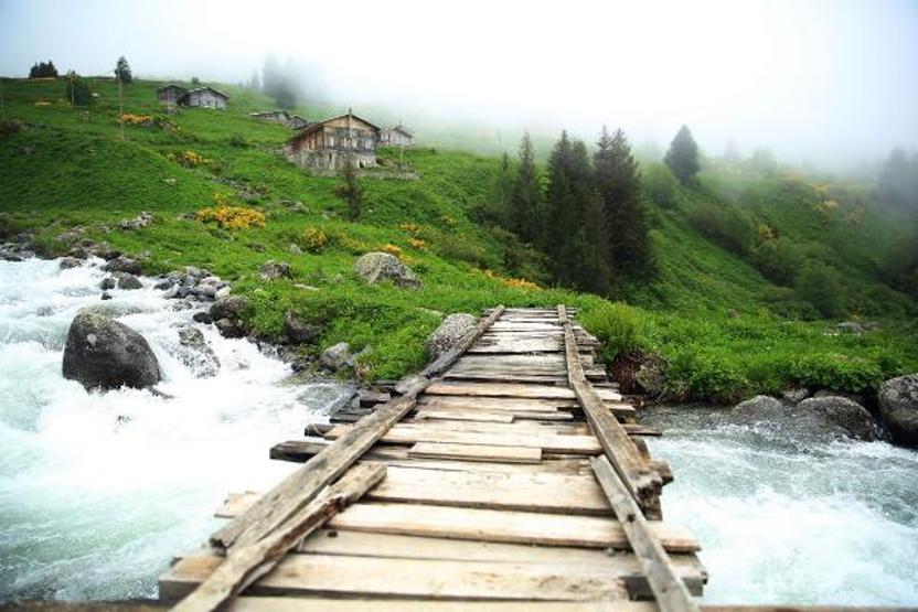 Doğu Karadenizin yeni gözdesi Elevit Yaylası