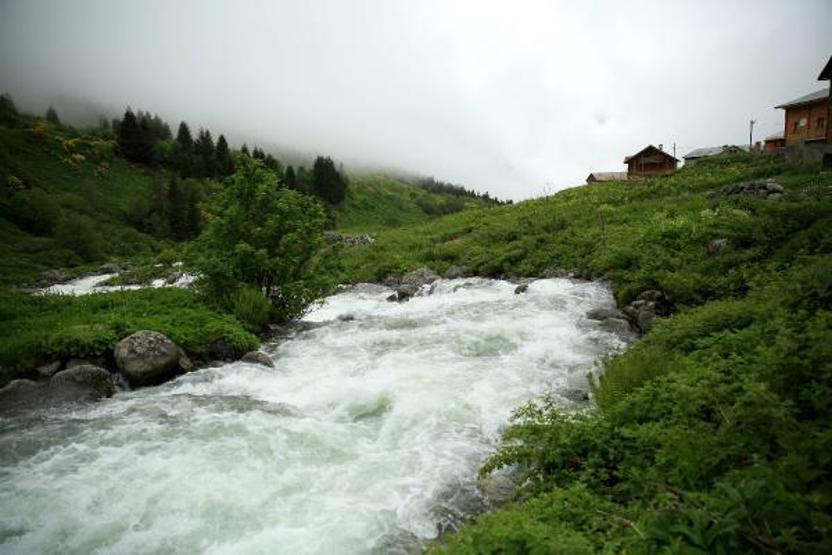 Doğu Karadenizin yeni gözdesi Elevit Yaylası