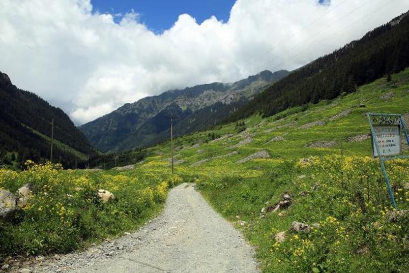 Doğu Karadenizin yeni gözdesi Elevit Yaylası