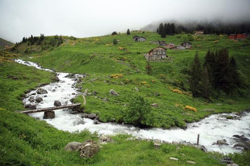 Doğu Karadenizin yeni gözdesi Elevit Yaylası