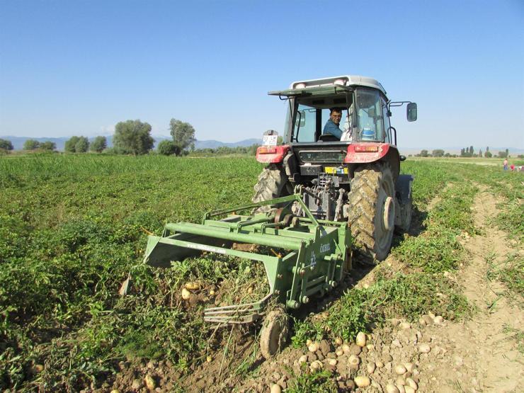 Çuval çuval yola çıktı, fiyatlar düşecek