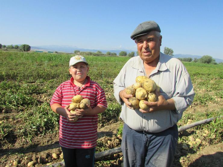 Çuval çuval yola çıktı, fiyatlar düşecek
